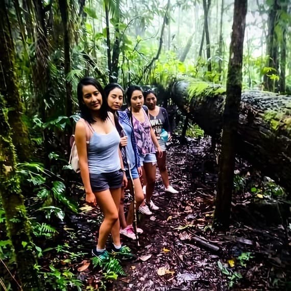 Tours Metro Chanchamayo. Árbol caído de muchos años en el Santuario Nacional Pampa Hermosa, Chanchamayo, (La Selva Central), Región Junín.
