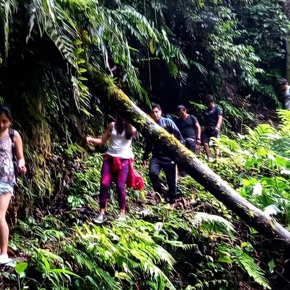 Tours Metro Chanchamayo. Camino sinuoso para llegar al Santuario Nacional Pampa Hermosa, Chanchamayo, La Selva Central, Región Junín.