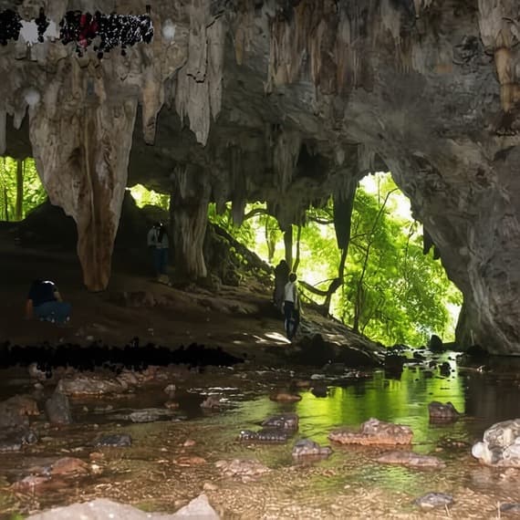 Foto Tours Metro Chanchamayo. Gruta de loros esta en Perene, Chanchamayo, La Selva Central de Perú.