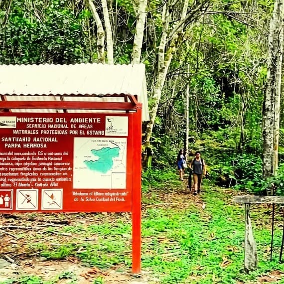 Tours Metro Chanchamayo. Ingreso al Santuario Nacional Pampa Hermosa, Chanchamayo, (La Selva Central), Región Junín. Perú.