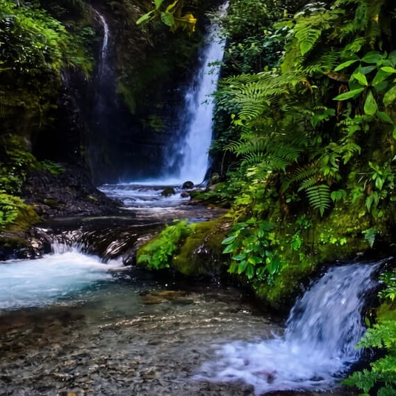 TOURS METRO CHANCHAMAYO. AGUA FLOR. Catarata de San Ramón, Chanchamayo, La Selva Central