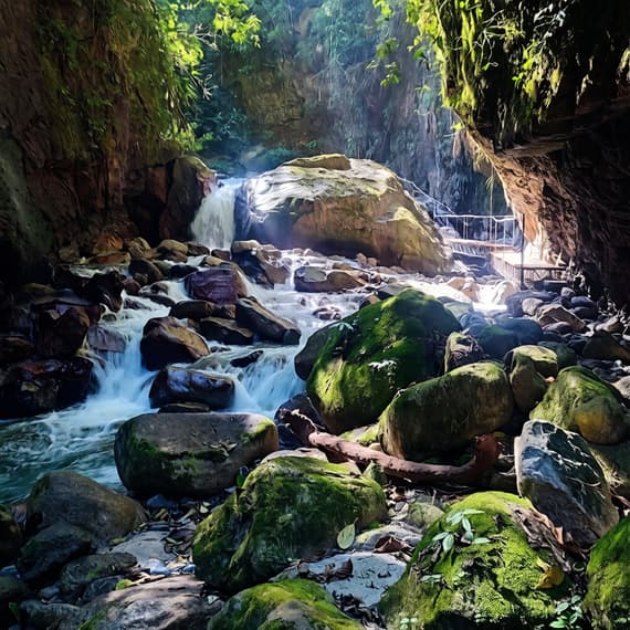 TOURS METRO CHANCHAMAYO. Estrecho Gallito de Las rocas. San Ramón, Chanchamayo, (La Selva Central)