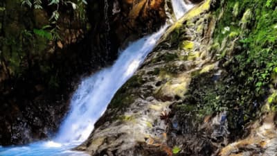 TOURS METRO CHANCHAMAYO.
Cascada Caracol esta en el trayecto del Trekking hacia la catarata Agua Flor.