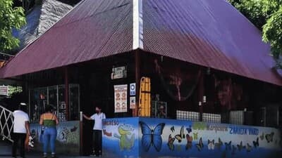 Tours Metro Chanchamayo. El Mariposario esta en la Merced.