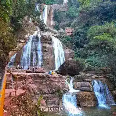 Foto TOURS METRO CHANCHAMAYO. Perene, Chanchamayo. Zona de la selva central